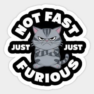 The image features a grumpy-looking cat with the text “NOT FAST JUST FURIOUS” surrounding it Sticker